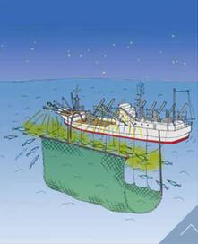 宮園1_コピー_コピー