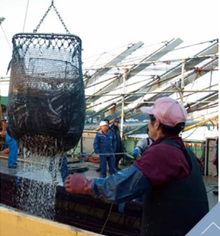 宮園2_コピー_コピー