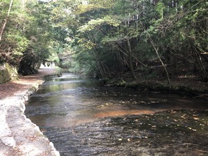 1572181200001_コピー