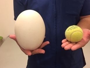 IMG_8939_コピー_コピー