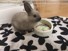 安村_コピー