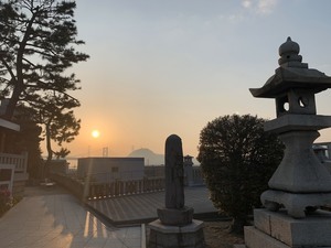 IMG_9507_コピー
