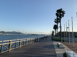 IMG_9567_コピー