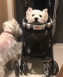 IMG_9714_コピー_コピー