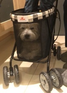 IMG_9717_コピー_コピー