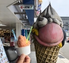 IMG_0536_コピー_コピー