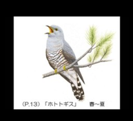 Screenshot_20200714-182407_コピー_コピー