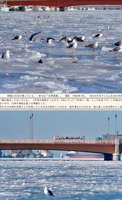 Screenshot_2021-01-10-08-18-58-78_bc2db4f7d4a3ecbd7110d668db0c059d_コピー_コピー