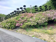 IMG20210414082136_コピー