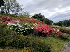 IMG20210414082146_コピー