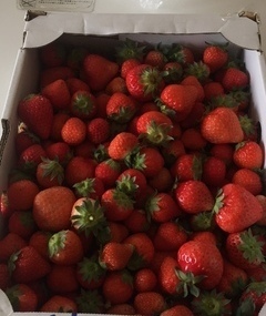 IMG_1219_コピー_コピー