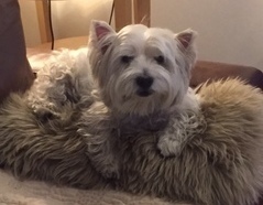 サミー_コピー_コピー