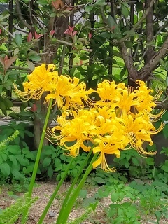 IMG20210929081602_コピー