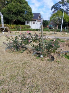 IMG20211205143226_コピー