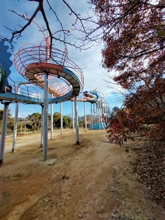 IMG20211205145214_コピー