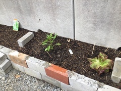 F75D590D-D31F-493D-8E3B-DAF19CDD7309_コピー