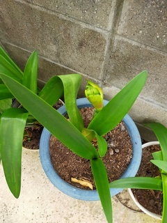 IMG20220506165626_コピー