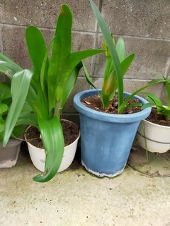 IMG20220506165656_コピー