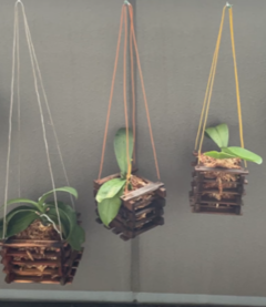 IMG_6352_コピー_コピー