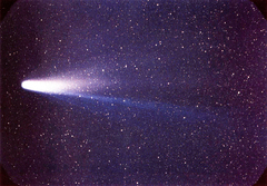 ハレー彗星wiki_コピー